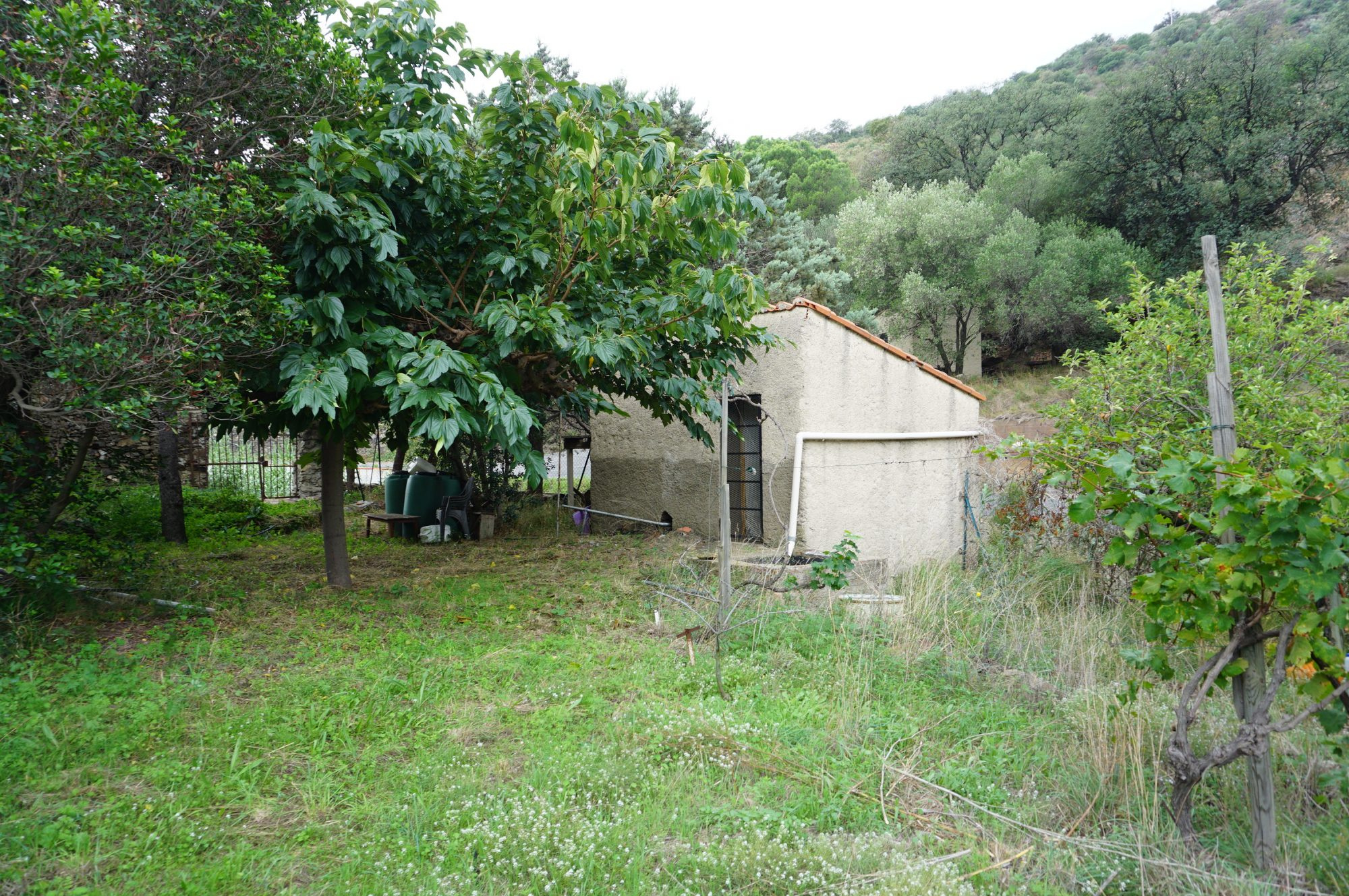 Agence immobilière de Agence Immobiliere Collioure Paradise