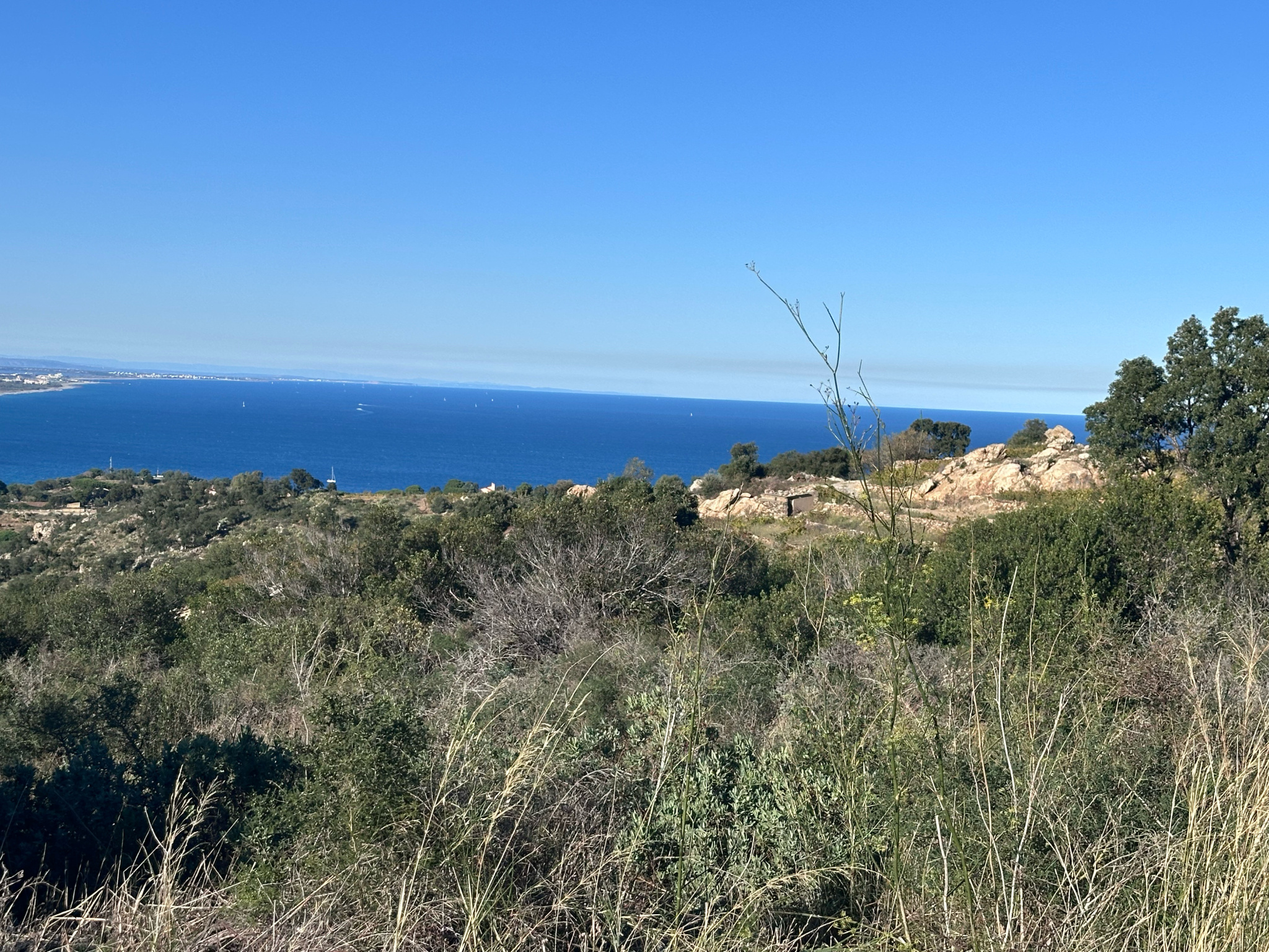 Agence immobilière de Agence Immobiliere Collioure Paradise