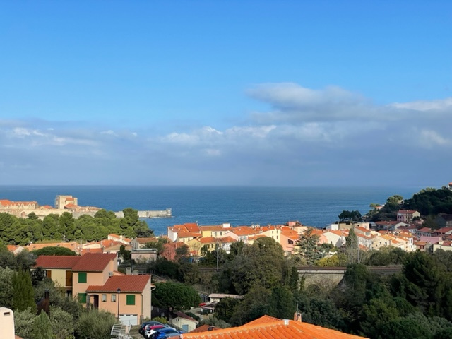 Agence immobilière de Agence Immobiliere Collioure Paradise